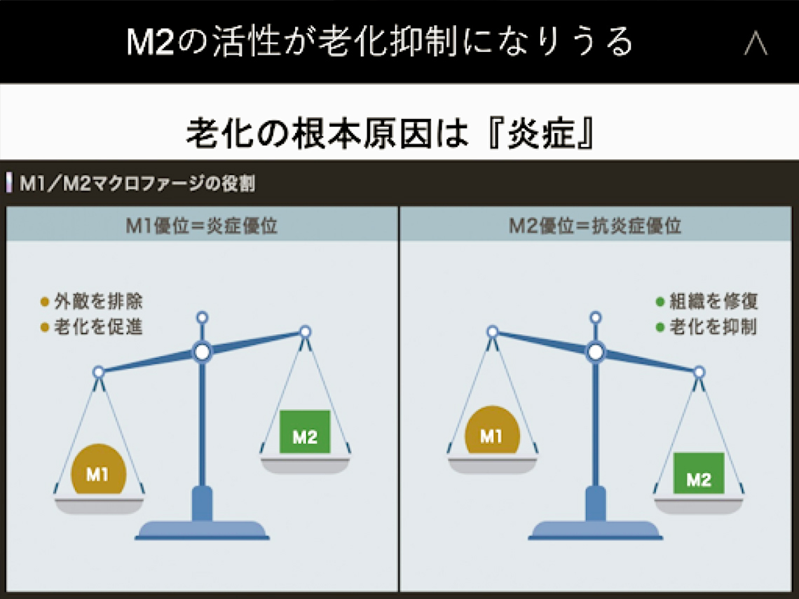 老化の根本原因は炎症です