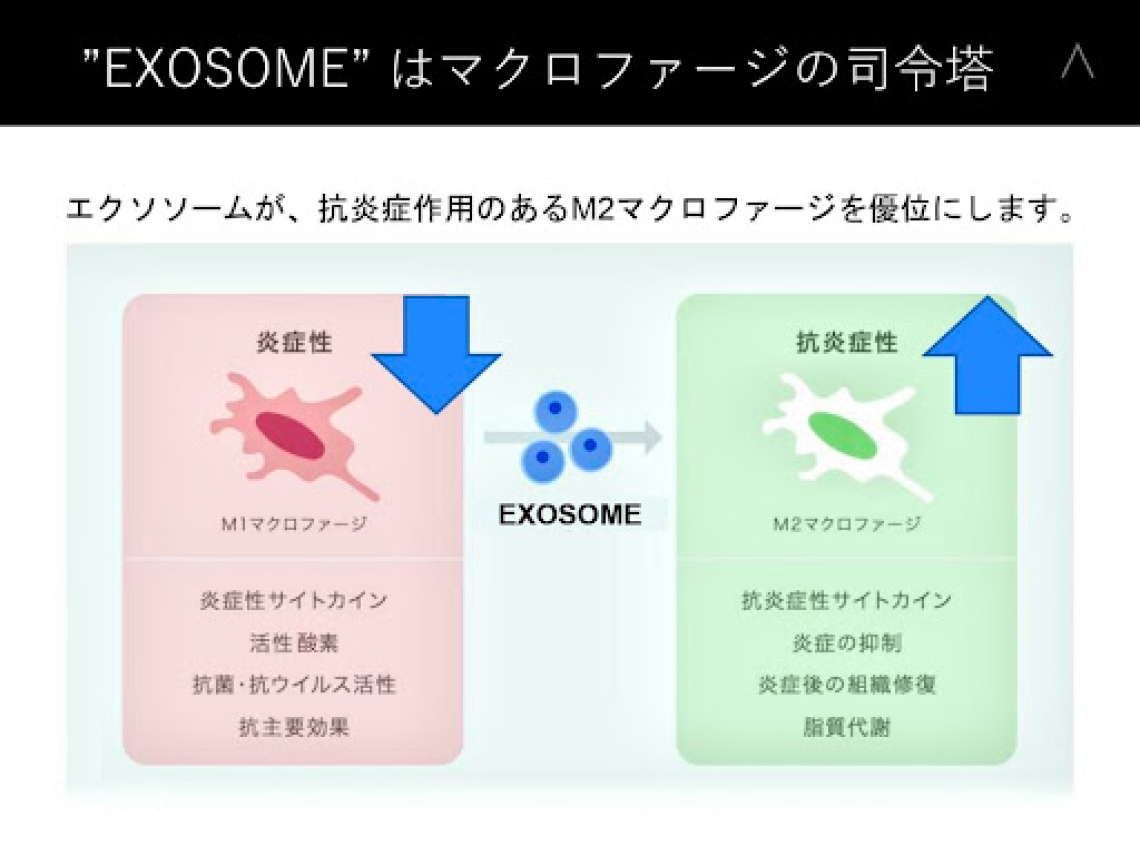 EXOSOMEはマクロファージの司令塔