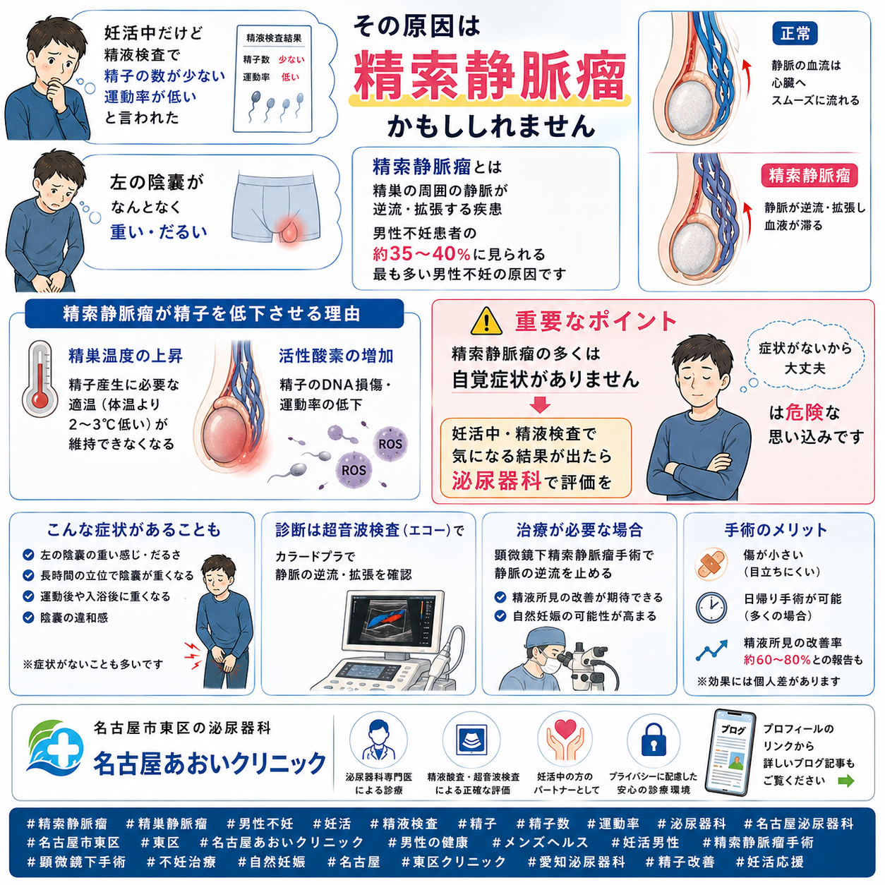 精索静脈瘤（精巣静脈瘤）——男性不妊の最多原因・陰嚢の重だるさの正体と治療を名古屋あおいクリニック（名古屋市東区・泌尿器科）が詳しく解説